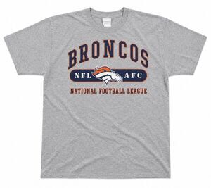 Broncos Shirt L 90s 00s Y2k Terrell Davis Denver NFL Football Game-day Tee